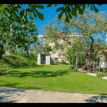 Sunray Apartments Skala Sotiros Exterior photo