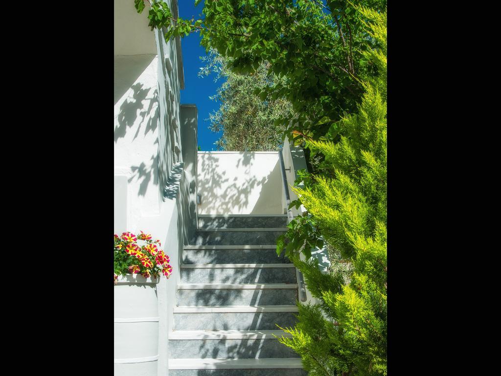 Apartment Sunray *