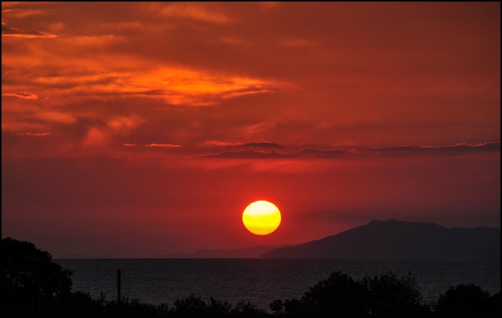Daire Sunray